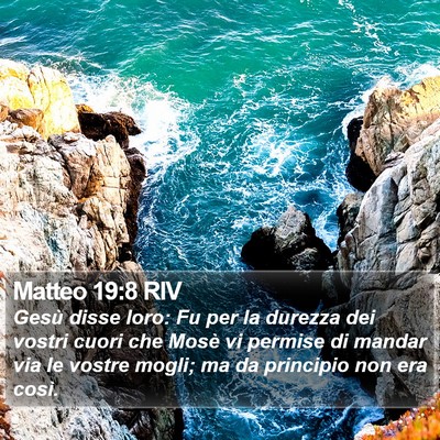 Matteo 19:8 RIV Bible Verse Image