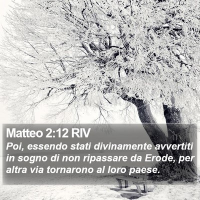 Matteo 2:12 RIV Bible Verse Image
