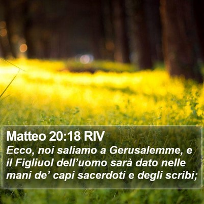 Matteo 20:18 RIV Bible Verse Image