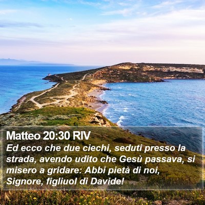 Matteo 20:30 RIV Bible Verse Image