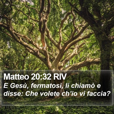 Matteo 20:32 RIV Bible Verse Image