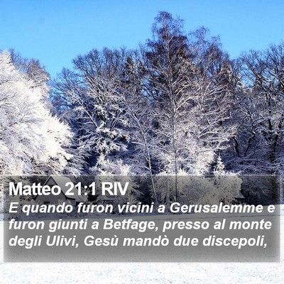 Matteo 21:1 RIV Bible Verse Image