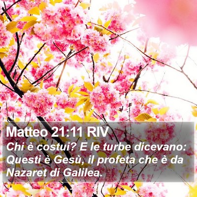 Matteo 21:11 RIV Bible Verse Image