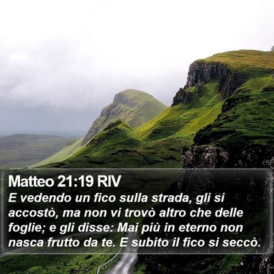 Matteo 21:19 RIV Bible Verse Image