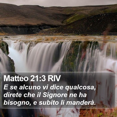 Matteo 21:3 RIV Bible Verse Image