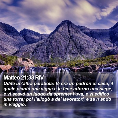 Matteo 21:33 RIV Bible Verse Image