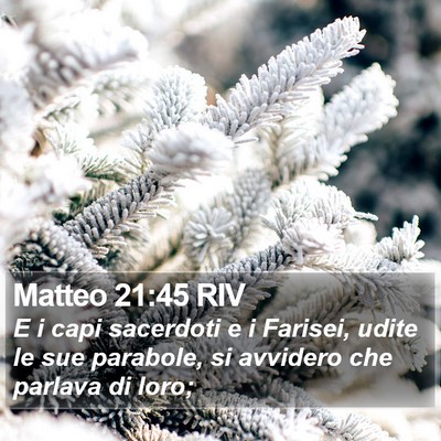 Matteo 21:45 RIV Bible Verse Image