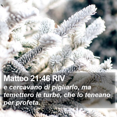 Matteo 21:46 RIV Bible Verse Image