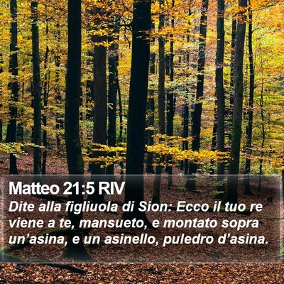 Matteo 21:5 RIV Bible Verse Image