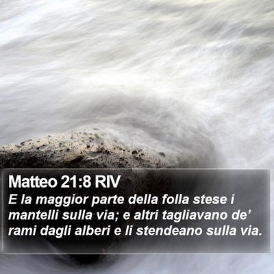 Matteo 21:8 RIV Bible Verse Image