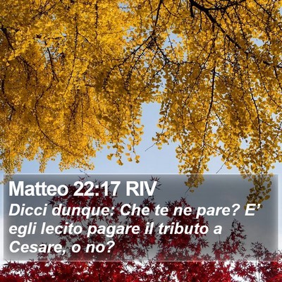 Matteo 22:17 RIV Bible Verse Image