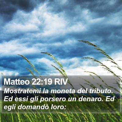 Matteo 22:19 RIV Bible Verse Image