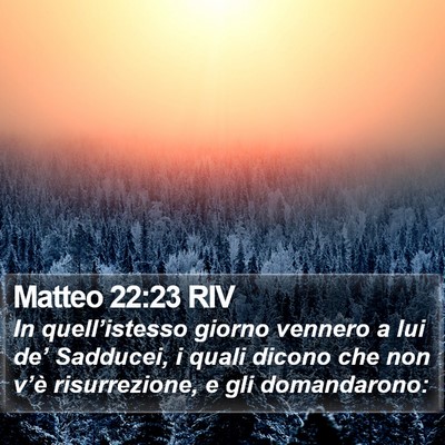 Matteo 22:23 RIV Bible Verse Image