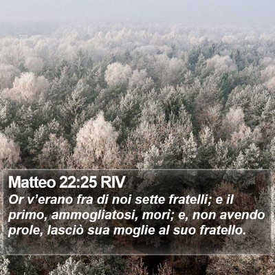 Matteo 22:25 RIV Bible Verse Image