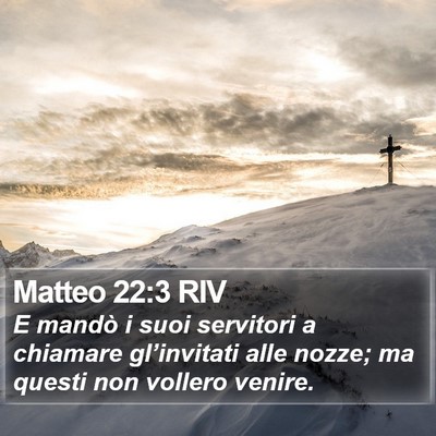 Matteo 22:3 RIV Bible Verse Image