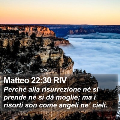 Matteo 22:30 RIV Bible Verse Image