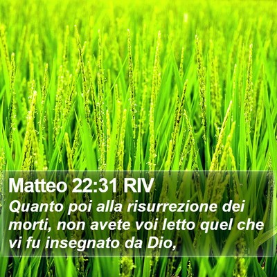 Matteo 22:31 RIV Bible Verse Image