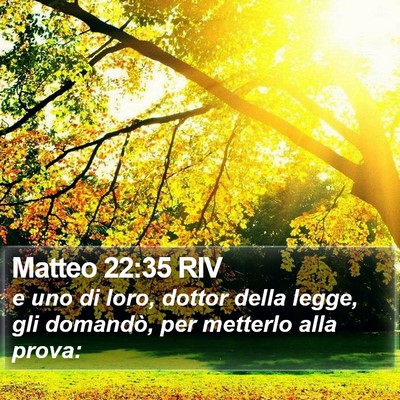 Matteo 22:35 RIV Bible Verse Image