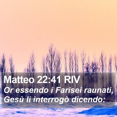 Matteo 22:41 RIV Bible Verse Image
