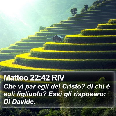 Matteo 22:42 RIV Bible Verse Image