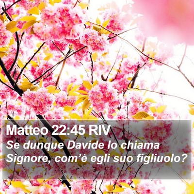 Matteo 22:45 RIV Bible Verse Image