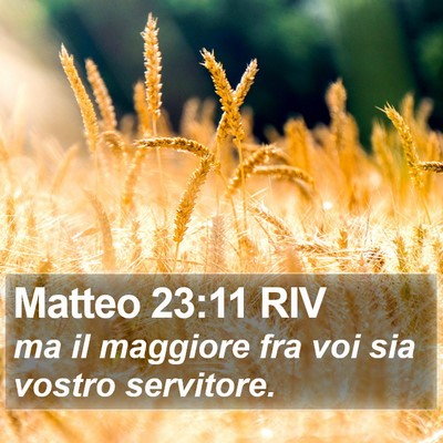 Matteo 23:11 RIV Bible Verse Image