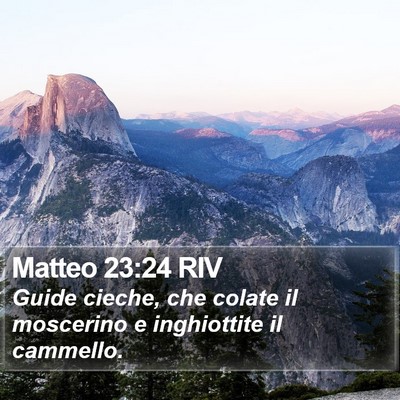 Matteo 23:24 RIV Bible Verse Image
