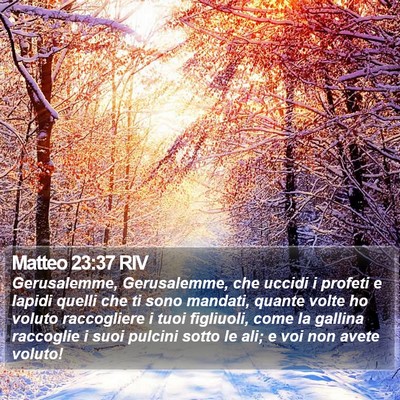 Matteo 23:37 RIV Bible Verse Image
