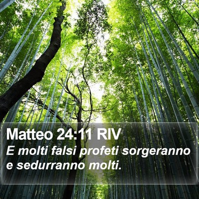Matteo 24:11 RIV Bible Verse Image