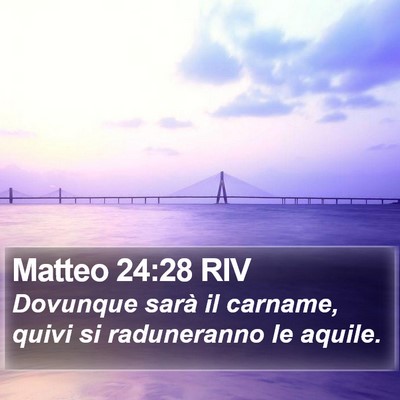 Matteo 24:28 RIV Bible Verse Image