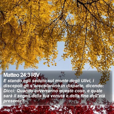 Matteo 24:3 RIV Bible Verse Image