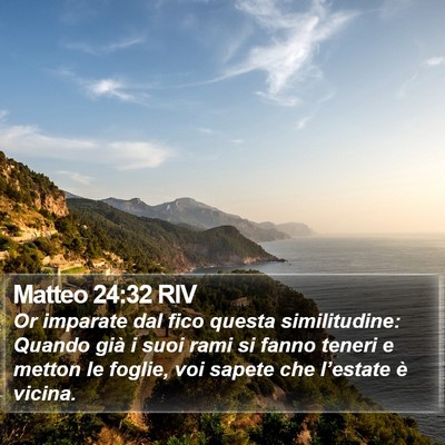 Matteo 24:32 RIV Bible Verse Image