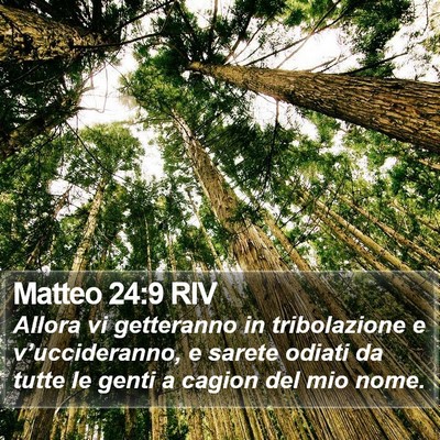 Matteo 24:9 RIV Bible Verse Image