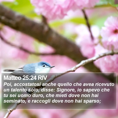 Matteo 25:24 RIV Bible Verse Image