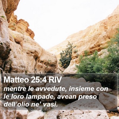 Matteo 25:4 RIV Bible Verse Image