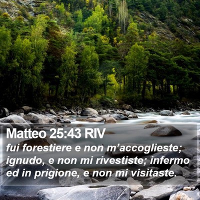 Matteo 25:43 RIV Bible Verse Image