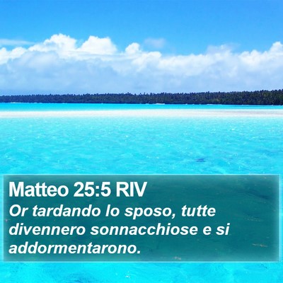 Matteo 25:5 RIV Bible Verse Image