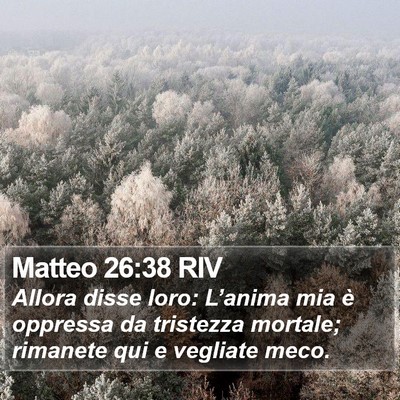 Matteo 26:38 RIV Bible Verse Image