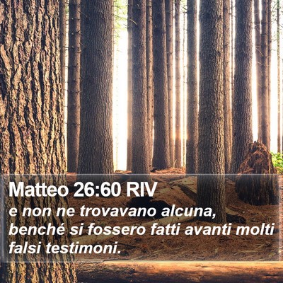 Matteo 26:60 RIV Bible Verse Image