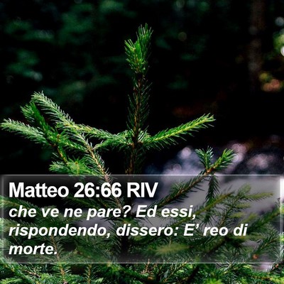 Matteo 26:66 RIV Bible Verse Image
