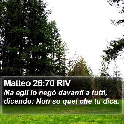 Matteo 26:70 RIV Bible Verse Image