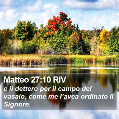Matteo 27:10 RIV Bible Verse Image
