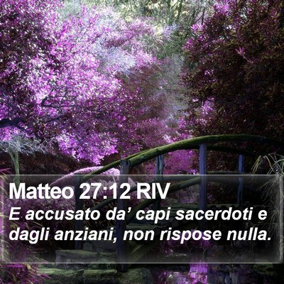 Matteo 27:12 RIV Bible Verse Image