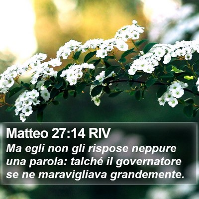 Matteo 27:14 RIV Bible Verse Image