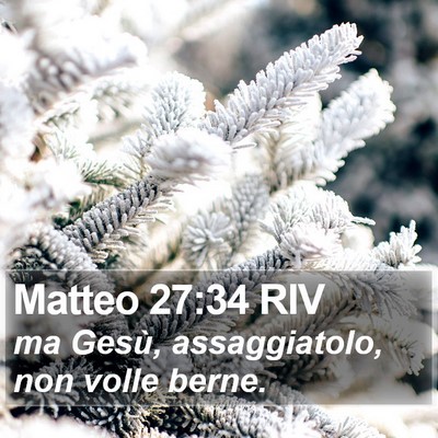 Matteo 27:34 RIV Bible Verse Image