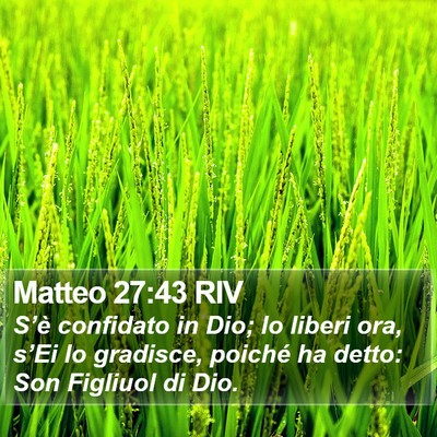 Matteo 27:43 RIV Bible Verse Image