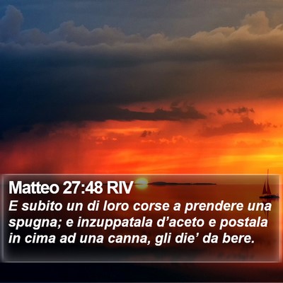 Matteo 27:48 RIV Bible Verse Image