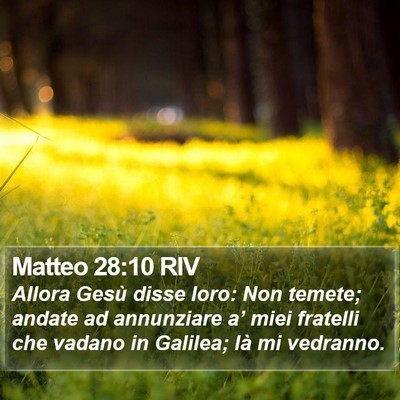 Matteo 28:10 RIV Bible Verse Image