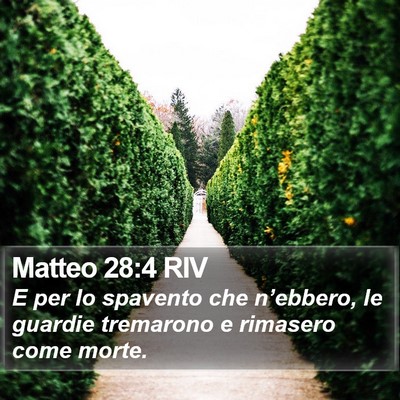 Matteo 28:4 RIV Bible Verse Image