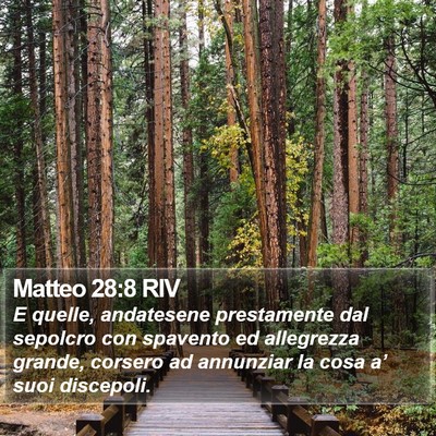 Matteo 28:8 RIV Bible Verse Image